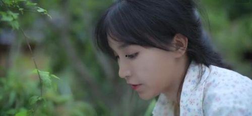 吃瓜柒柒,揭秘娱乐圈幕后故事